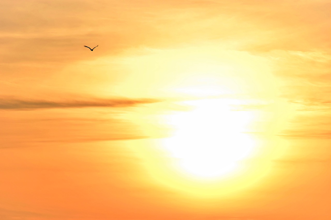 découvrez les claviers rétroéclairés : alliant design moderne et fonctionnalité, ils offrent une visibilité optimale dans l'obscurité et améliorent votre expérience de frappe. parfaits pour les gamers et les professionnels travaillant dans des environnements peu éclairés.