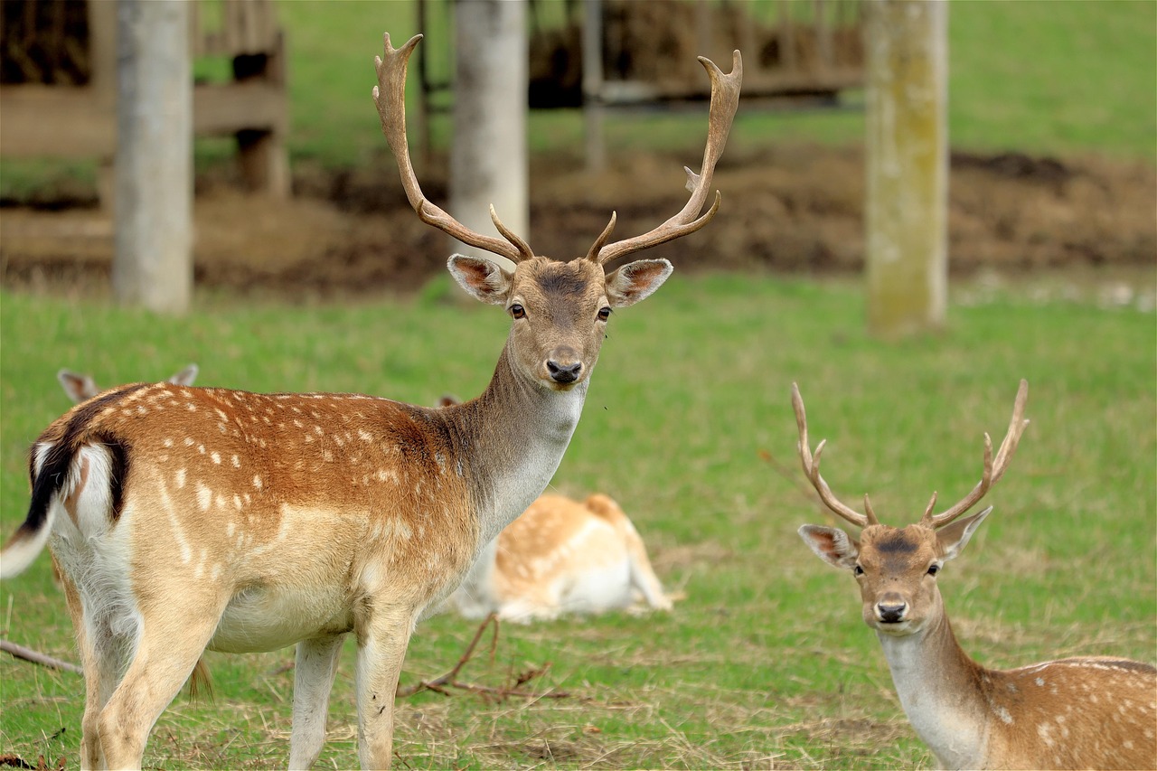 découvrez notre assortiment d'enceintes extérieures, conçues pour allier style et fonctionnalité. idéales pour protéger vos équipements tout en embellissant vos espaces extérieurs. explorez nos solutions durables et esthétiques pour une intégration parfaite dans votre jardin ou terrasse.