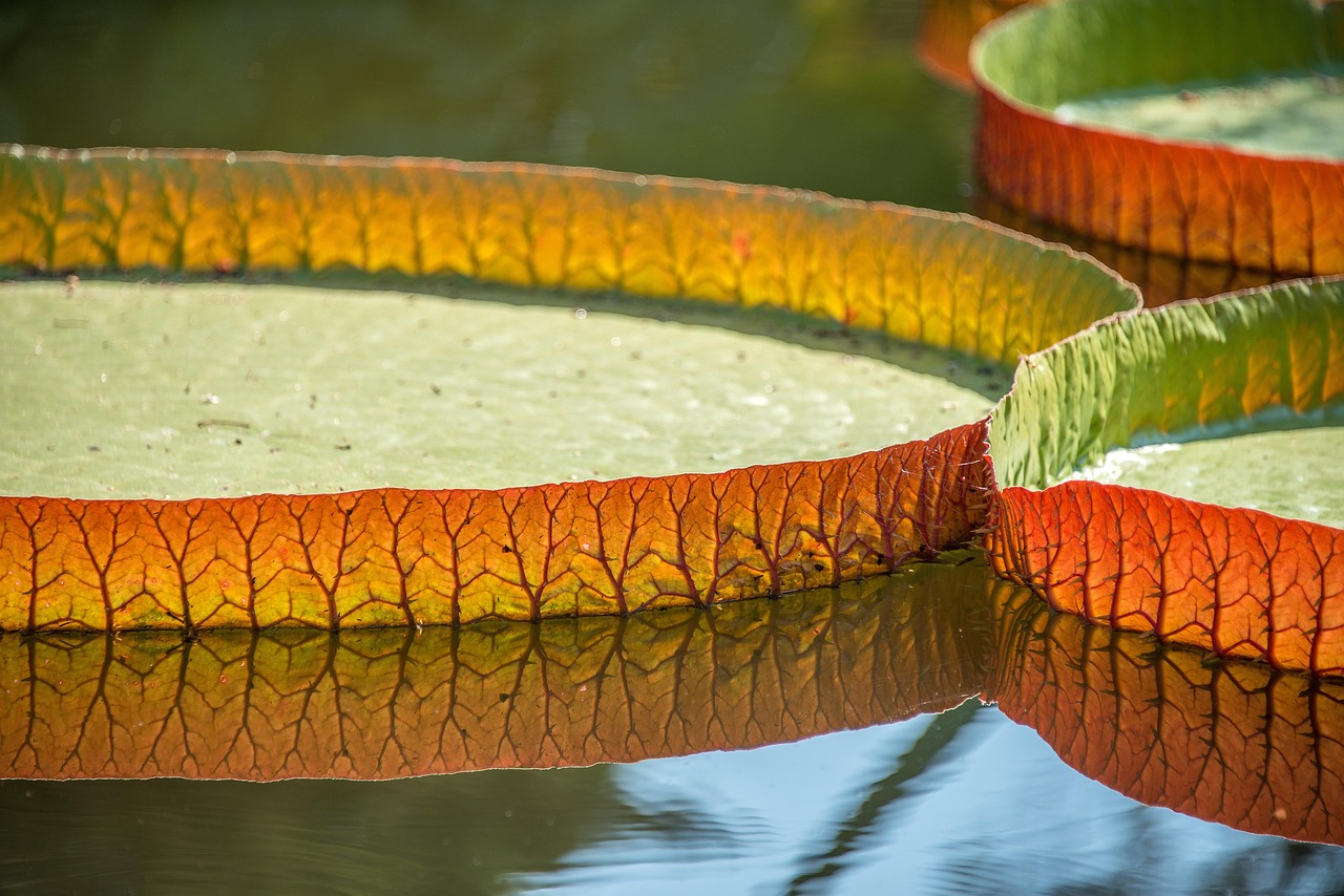 découvrez nos tapis de souris chauffants, parfaits pour garder vos mains au chaud et améliorer votre confort lors du travail ou du jeu sur ordinateur. profitez d'une expérience ergonomique et agréable, même par temps froid.